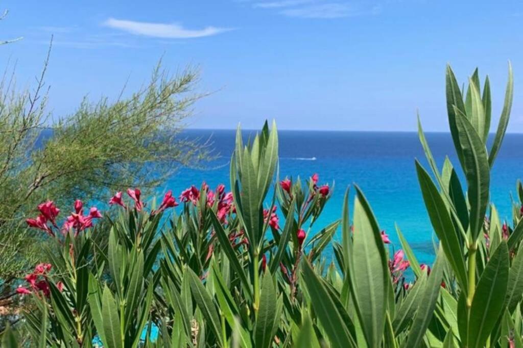 Boutique Apartment With Beach Within Walking Distance, Near Tropea Parghelia Dış mekan fotoğraf